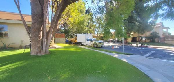 Tree Trimming and Hedge Manicuring Gardener (Northridge)