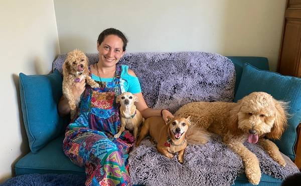 Dog Boarding, Dog Sitting Dog Sitter and Doggy Daycare in Woodland Hills (Woodland Hills)