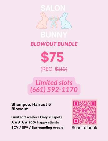Mobile Blowout and Haircut - Smooth, Bouncy Styling (Northridge)